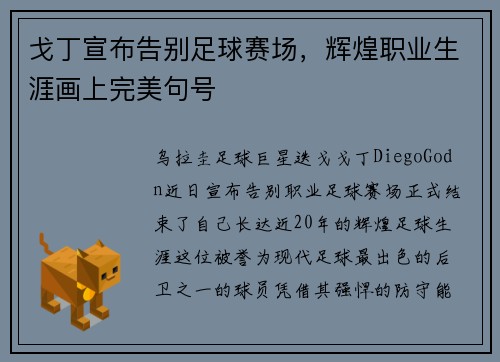 戈丁宣布告别足球赛场，辉煌职业生涯画上完美句号